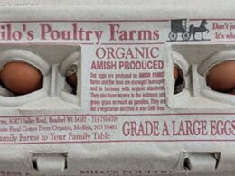Officials Warn Consumers To Throw Out Millions Of Eggs