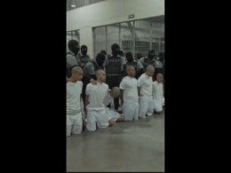 17 More ‘Foreign Gang Terrorists’ Deported To El Salvador