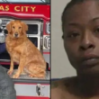 Woman Murders Paramedic, Bites Police Officer
